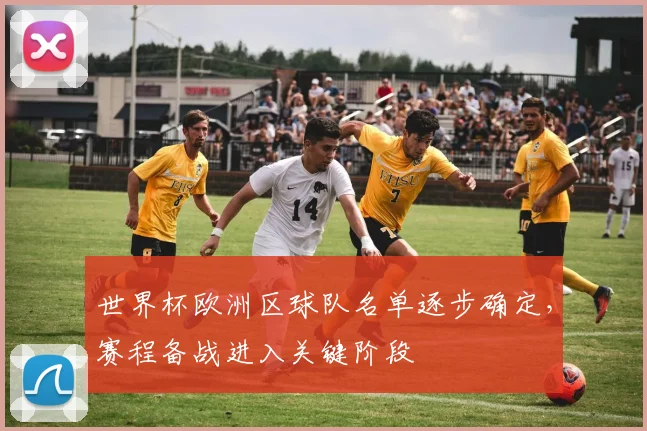 世界杯欧洲区球队名单逐步确定，赛程备战进入关键阶段