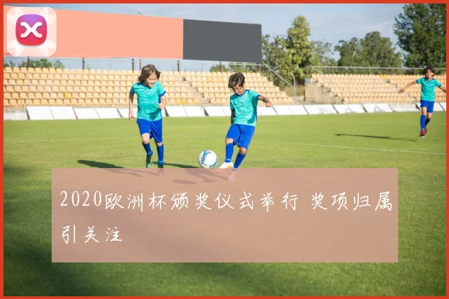2020欧洲杯颁奖仪式举行 奖项归属引关注